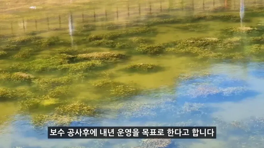 정부 예산 430억으로 새로 만든 워터파크 후기.jpg (5/20)