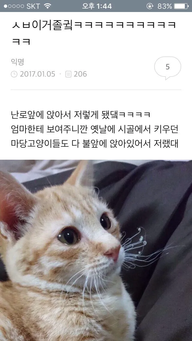 나 오늘 동성로 한가운데에서 대자로 넘어졌어.. (11/20)