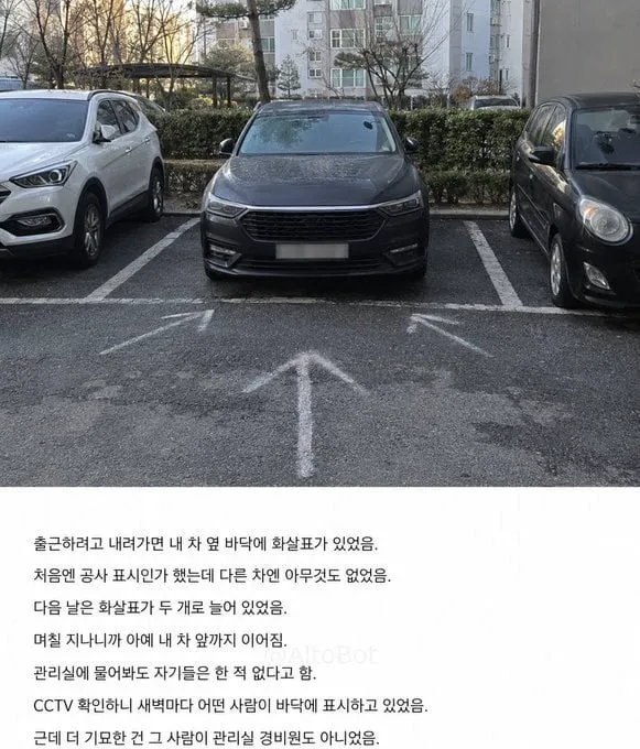 아파트 주차장에 내 차만 매일 분필 화살표가 그려져 있음 (1/2)
