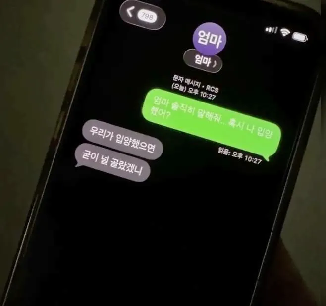 엄마 나 입양했어? 답장 레전드 (2/2)