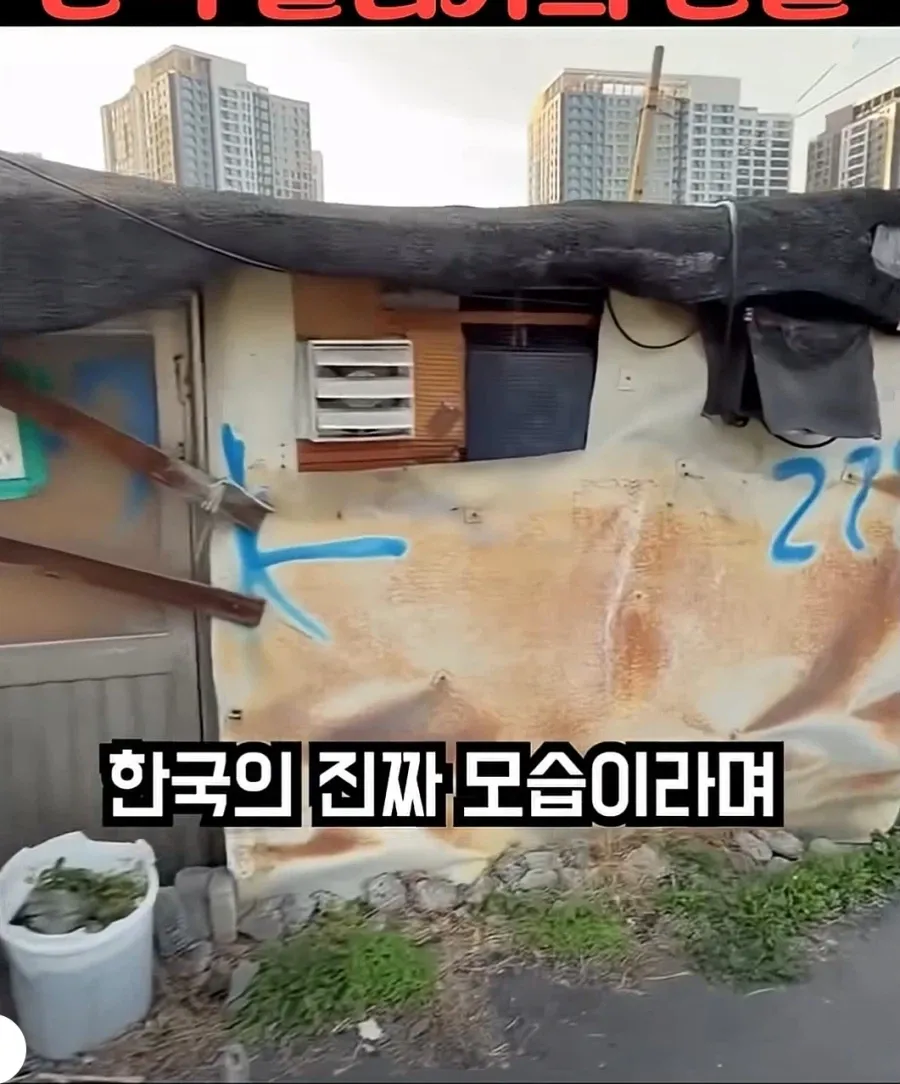 한국의 슬럼가를 방문한 유튜버 (3/5)