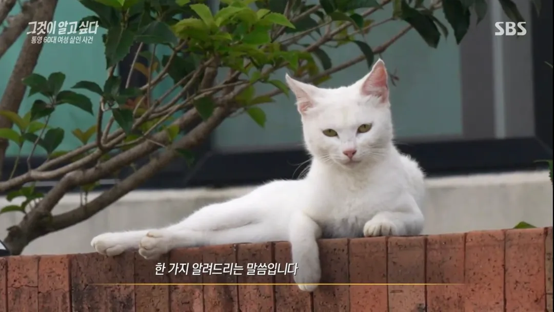 거의 동물농장이었다는 어제자 그알.jpg (10/19)