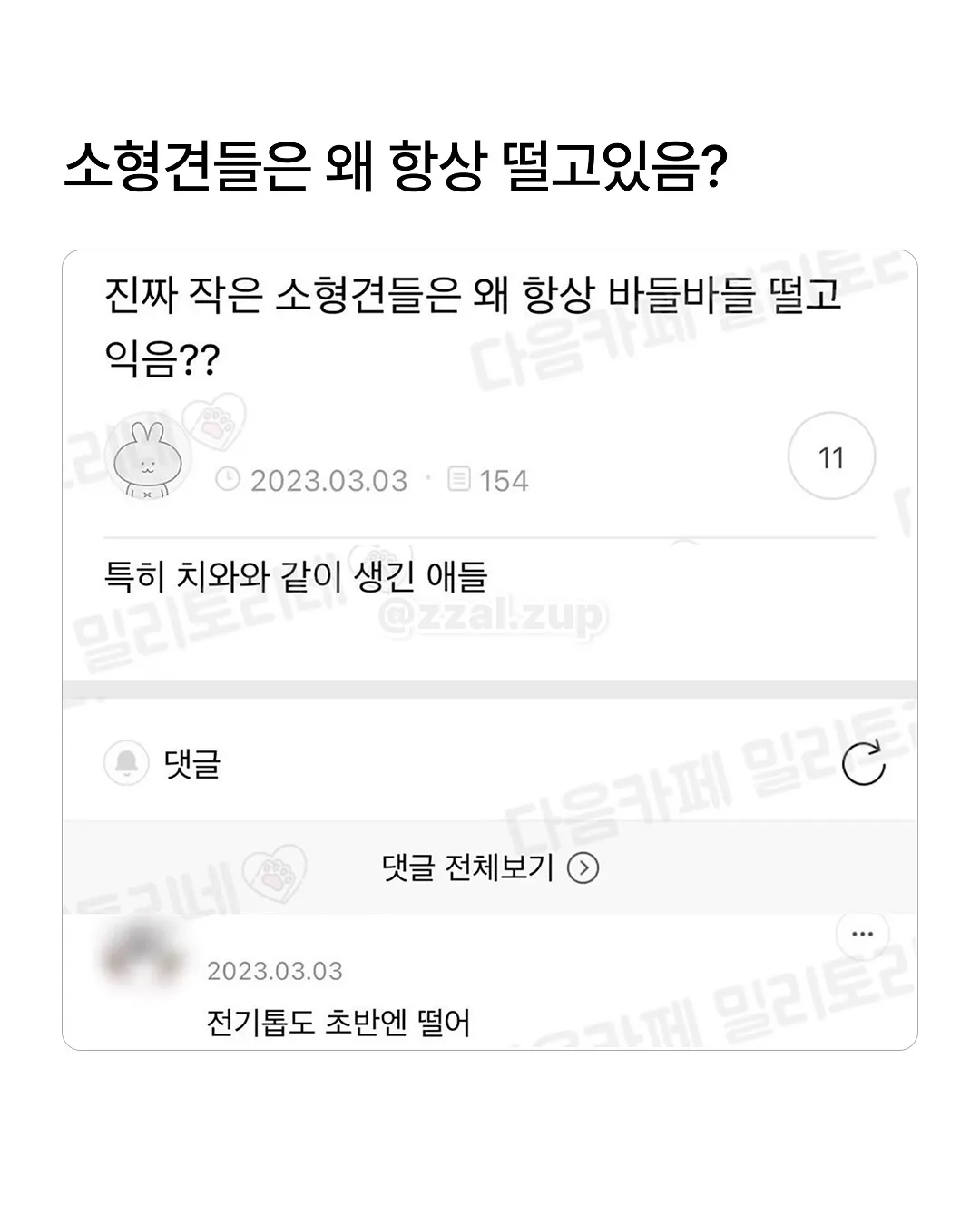 남동생 아내를 뭐라고 부르더라 생각이 안나네 (10/20)