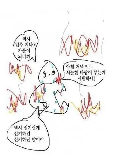 입추를 맞은 한국인들 근황 (2/2)