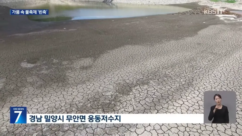 농촌은 가뭄인데 도시에서는 물놀이 (2/15)