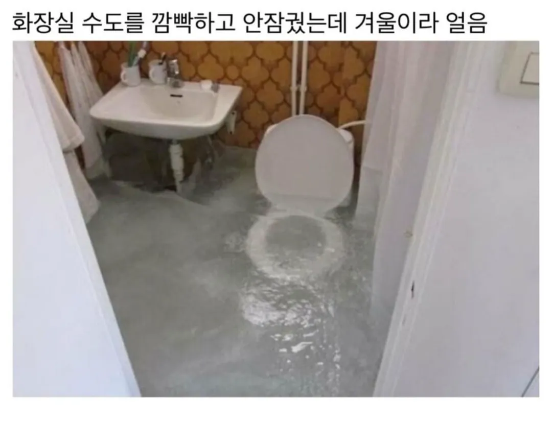 천하제일 망한 집 대회 (3/9)