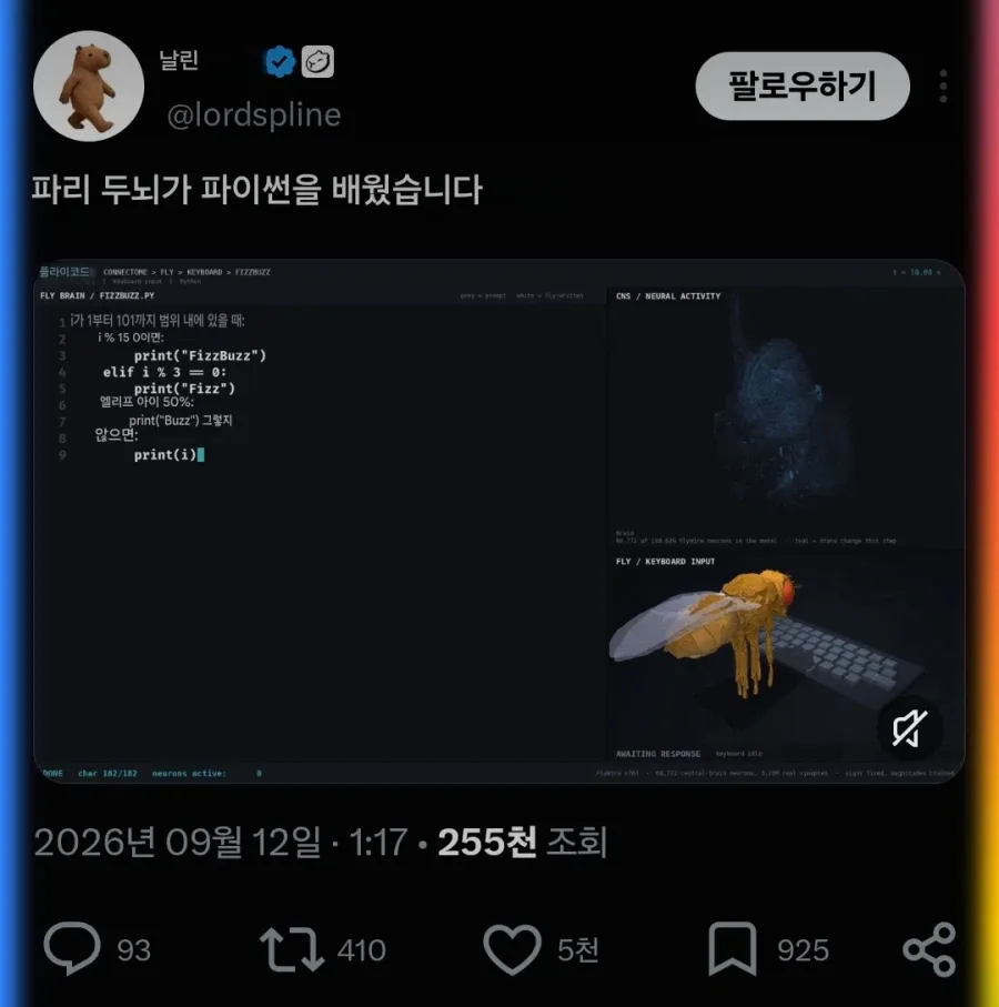 초파리 근황 (2/6)