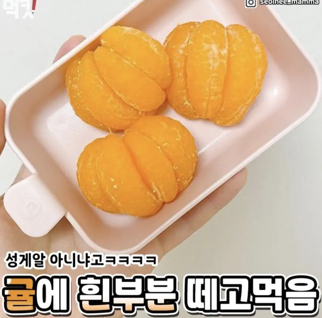 편식 심한 사람들 특징.jpg (3/5)