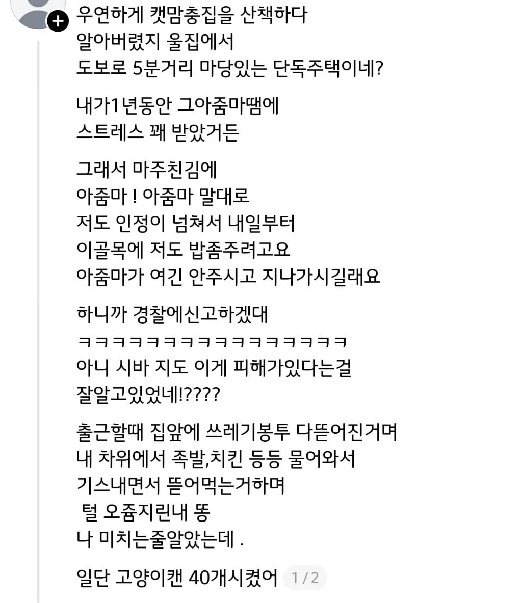 쓰레드에서 핫한 캣맘 퇴치기 (2/15)
