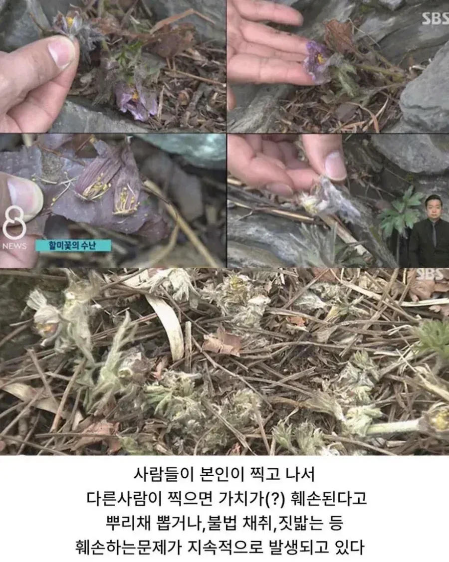 사진작가 동호회의 엽기적인 행각 (6/6)