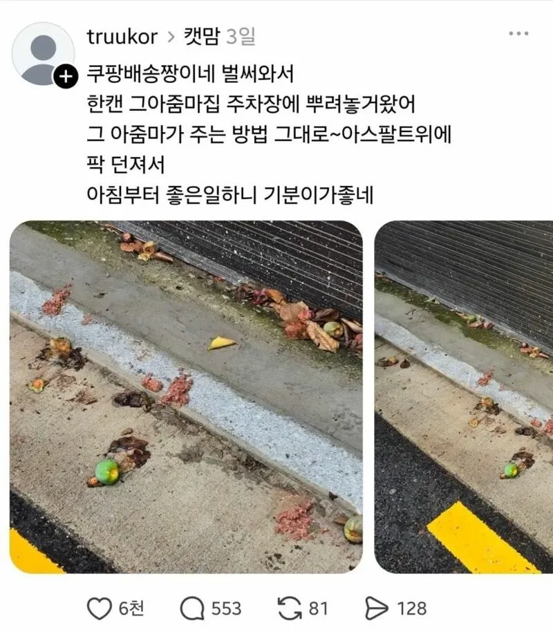 임자 제대로 만난 캣맘 ㅋㅋㅋㅋ (2/7)