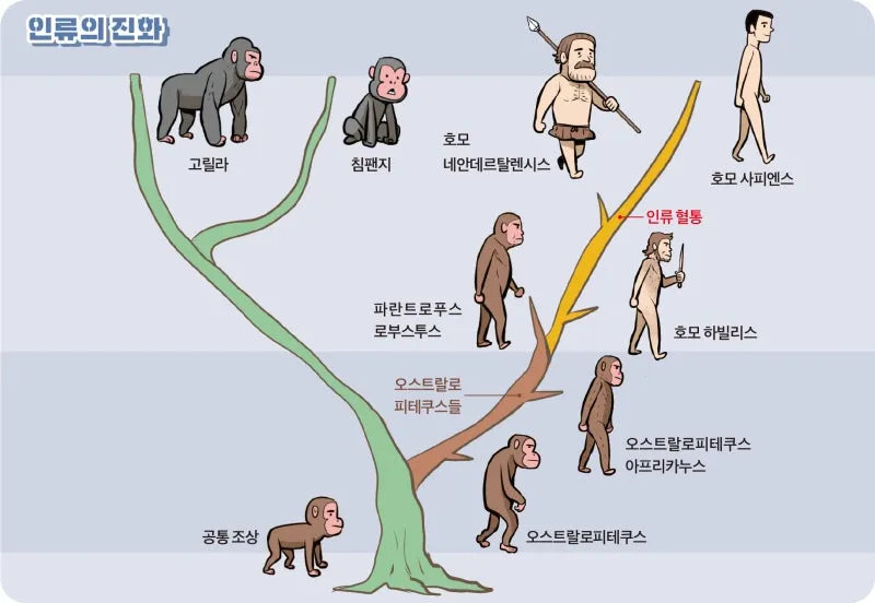 진화론을 믿지 않는 박진영.jpg (2/5)
