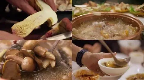 먹으면 요정을 볼 수 있다는 중국의 독버섯 (9/18)