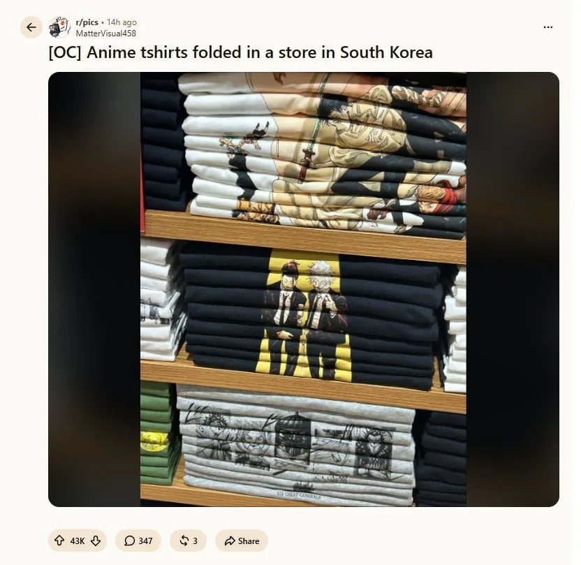 레딧에 올라온 일본 옷가게 사진 (2/3)