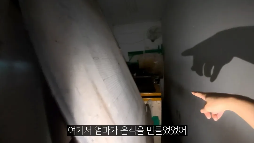 어린 시절 살던 집이 공장이였다는 40만 유튜버 로동복어 (14/20)