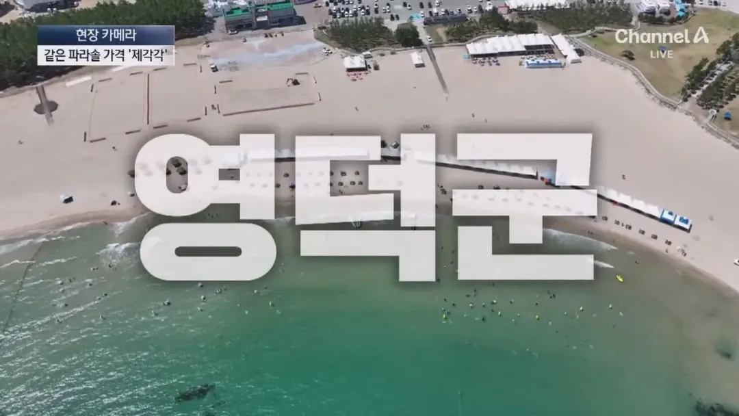 피서지 파라솔 바가지 요금을 취재하러간 채널A (17/20)