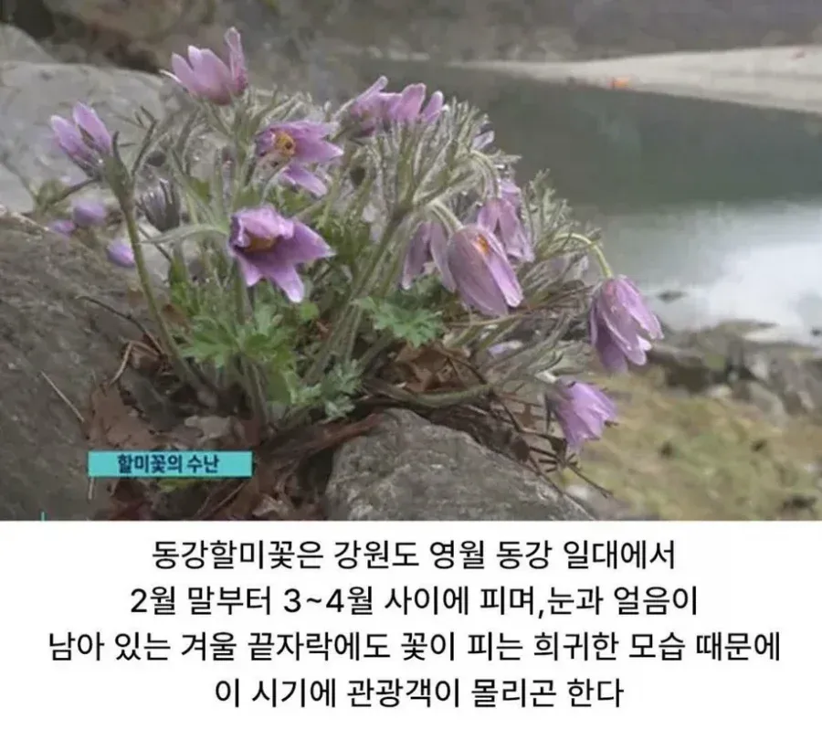 사진작가 동호회의 엽기적인 행각 (3/6)