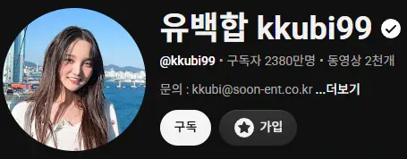 한국 천만유튜버 특징 (4/6)