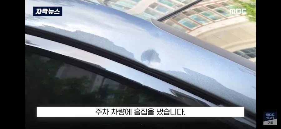 재물손괴 피해자가 가해자를 감싸준 사건 (2/9)