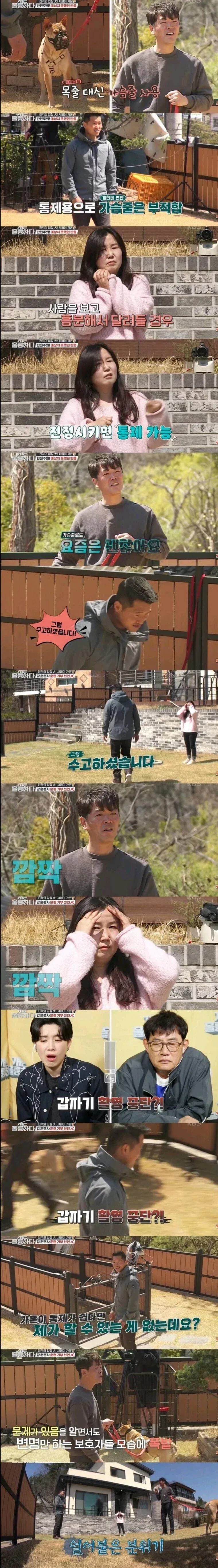 개물림 사고 대부분의 원인.jpg (3/3)