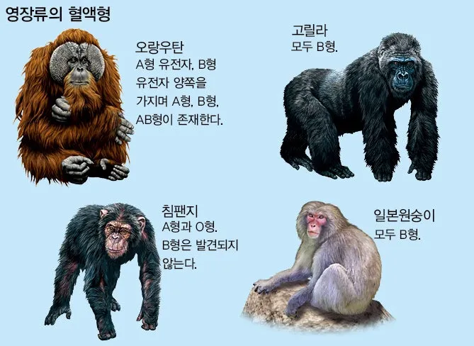 진화론을 믿지 않는 박진영.jpg (4/5)