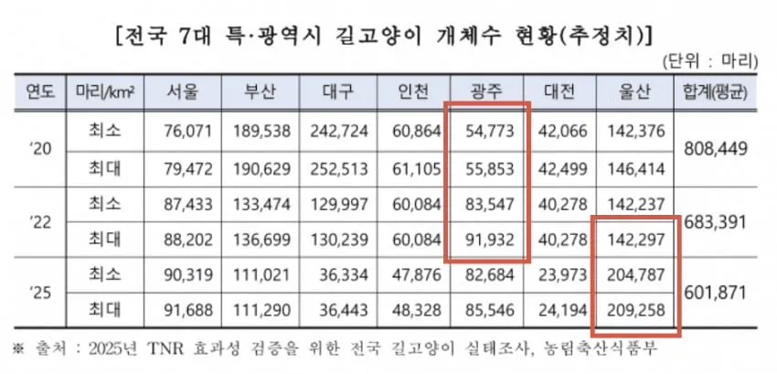 대구 고양이들에게 대체 무슨 일이? ㄷㄷㄷ (5/6)