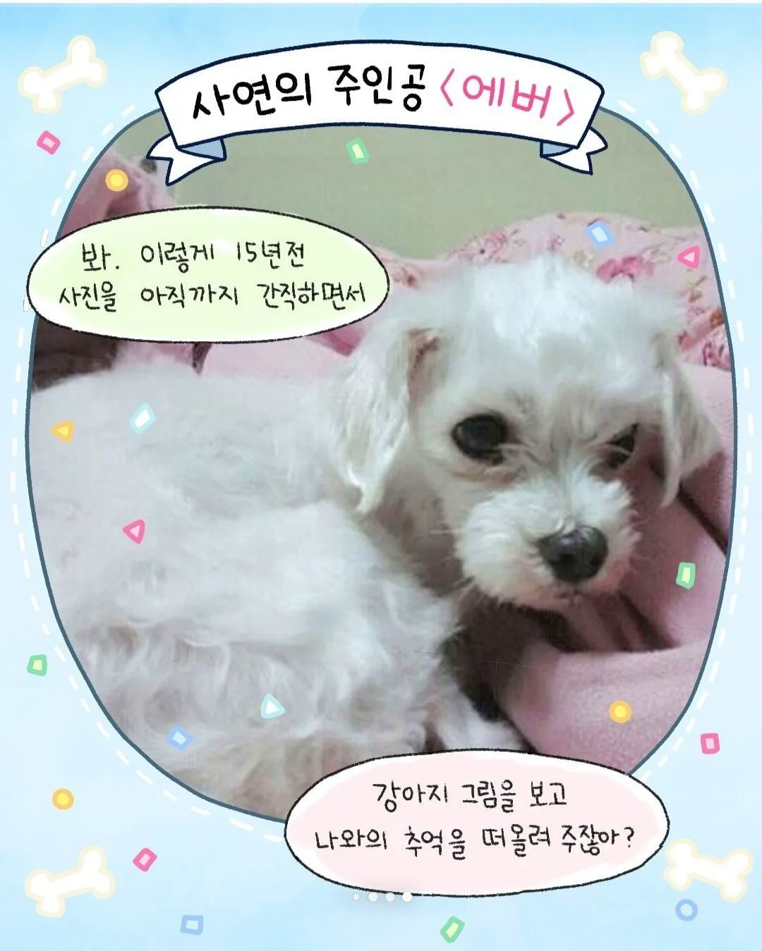 갑자기 찾아온 모르는 강아지 (10/10)