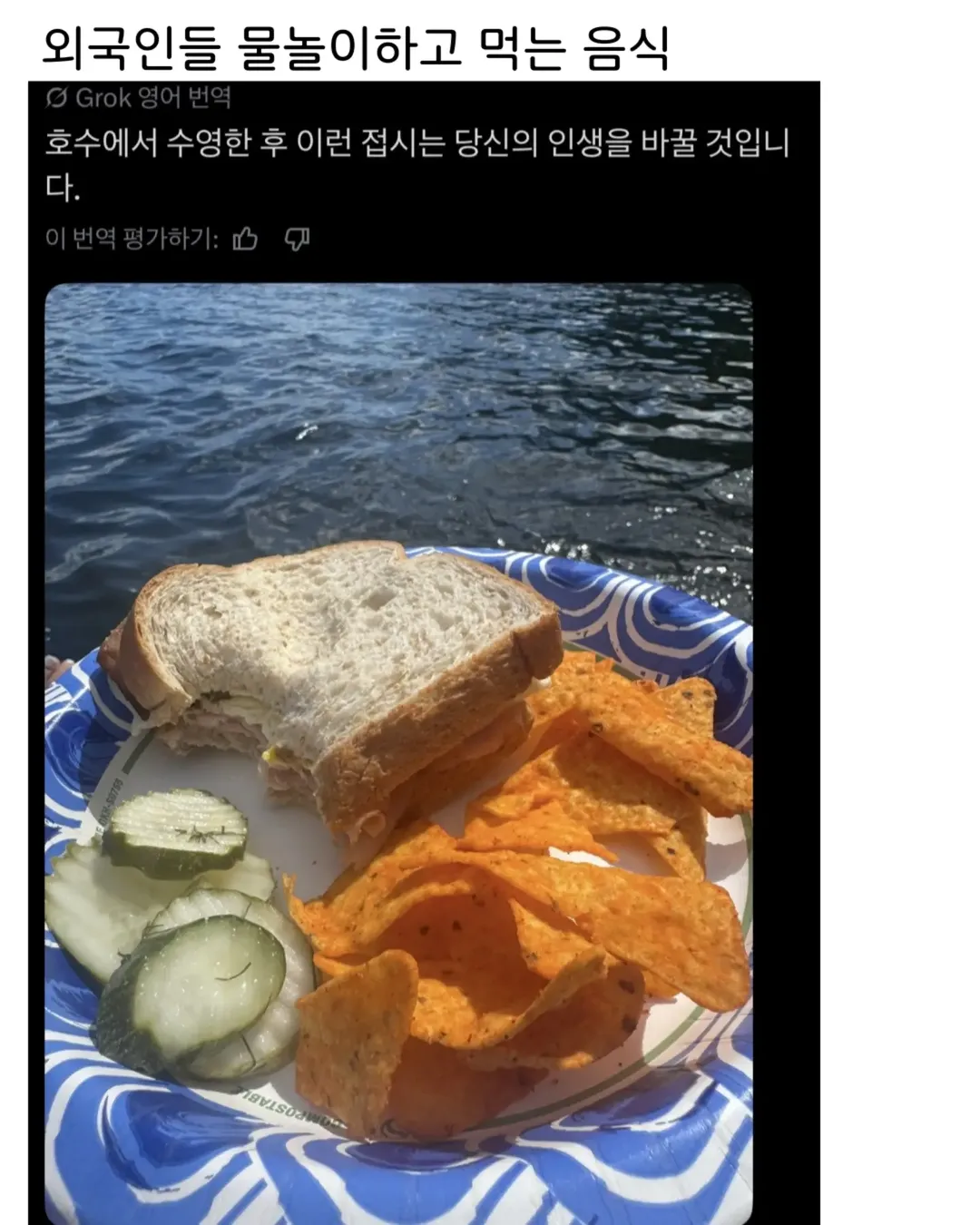외국인이 물놀이 후 먹는 음식, 자랑하는 수준.jpg (1/2)