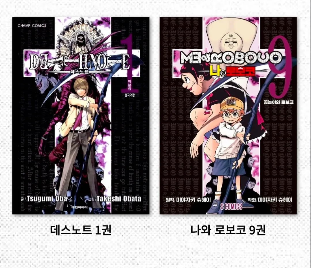 아디서 많이 본거 같은 표지를 쓰는 만화.jpg (10/13)