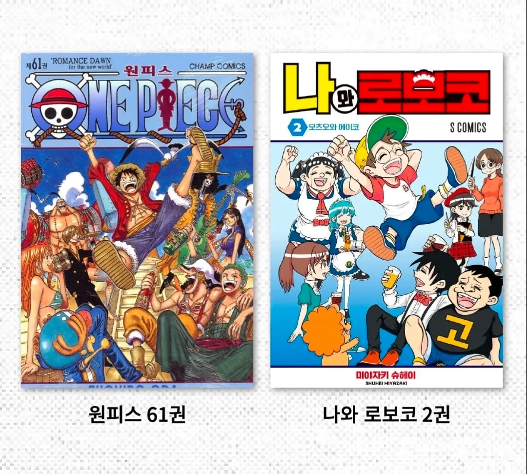 아디서 많이 본거 같은 표지를 쓰는 만화.jpg (6/13)
