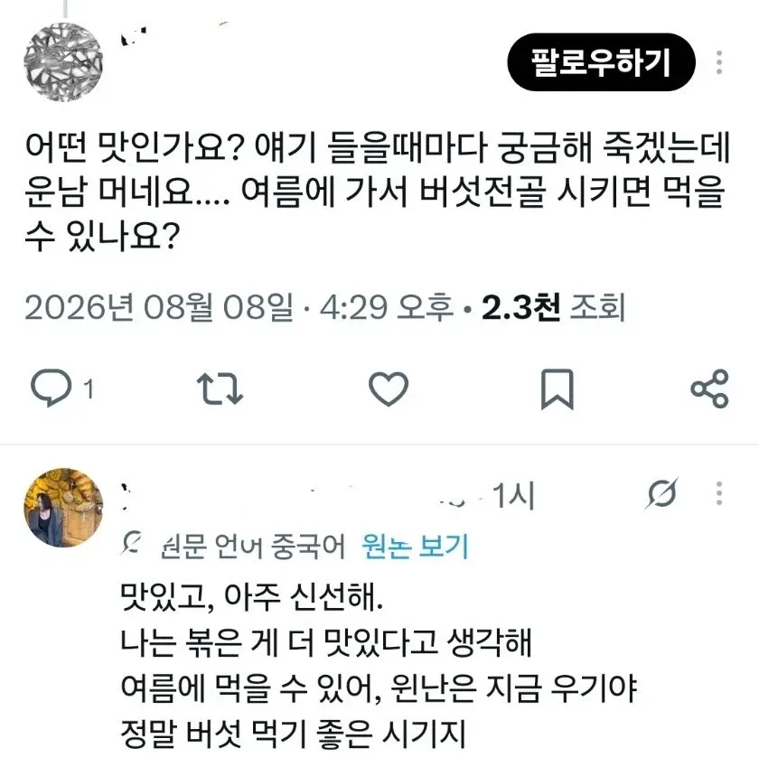 덜 익었을때 먹으면 큰일난다는 버섯 🍄‍🟫 (2/4)
