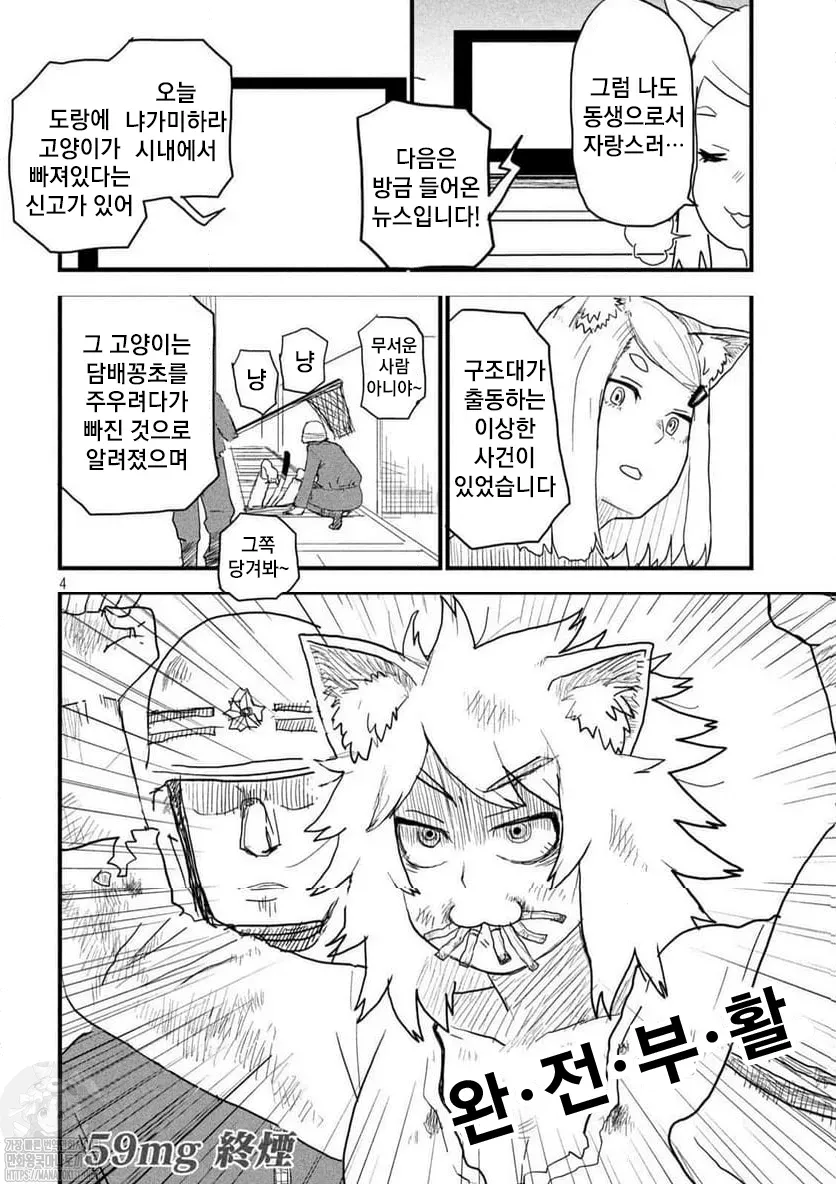 야니네코의 비밀 (6/6)