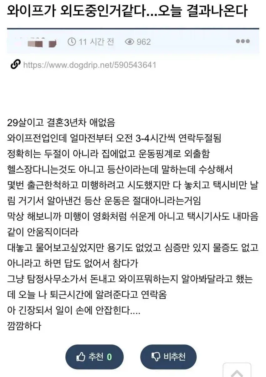 와이프 외도 후기 (1/2)