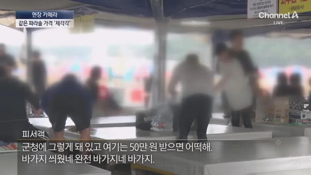 피서지 파라솔 바가지 요금을 취재하러간 채널A (14/20)