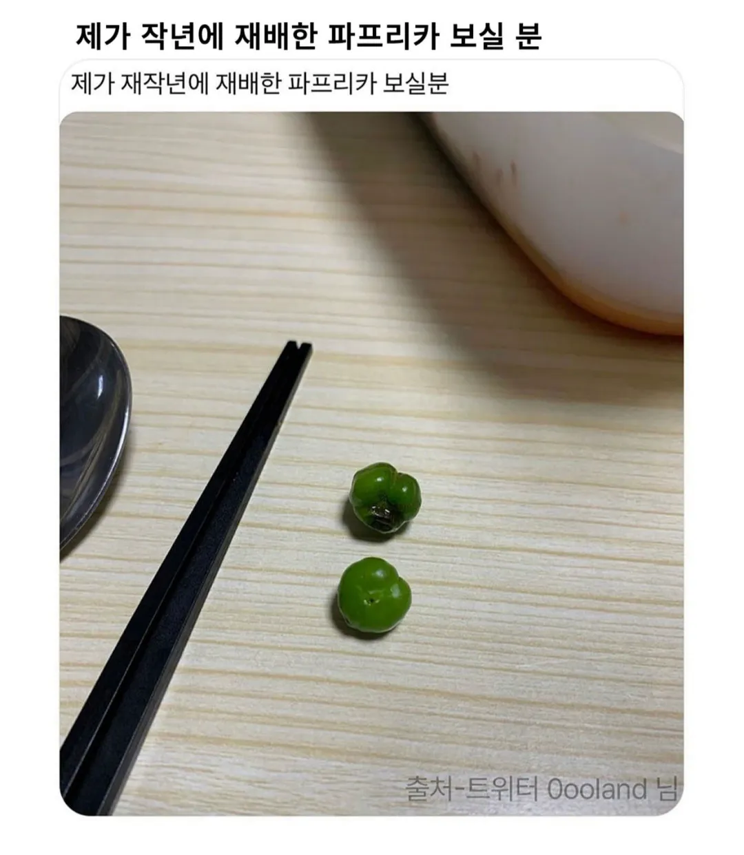 제가 직접 재배한거 보실분.jpg (1/10)