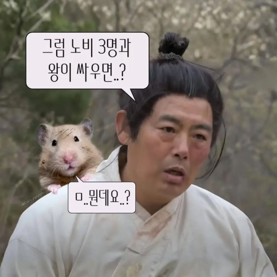 노비가 하늘을 날면? (3/13)