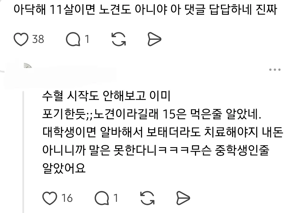 아빠가 노견 치료비 몇백은 내겠지만 수술비 몇천은 못내겠대 (8/8)