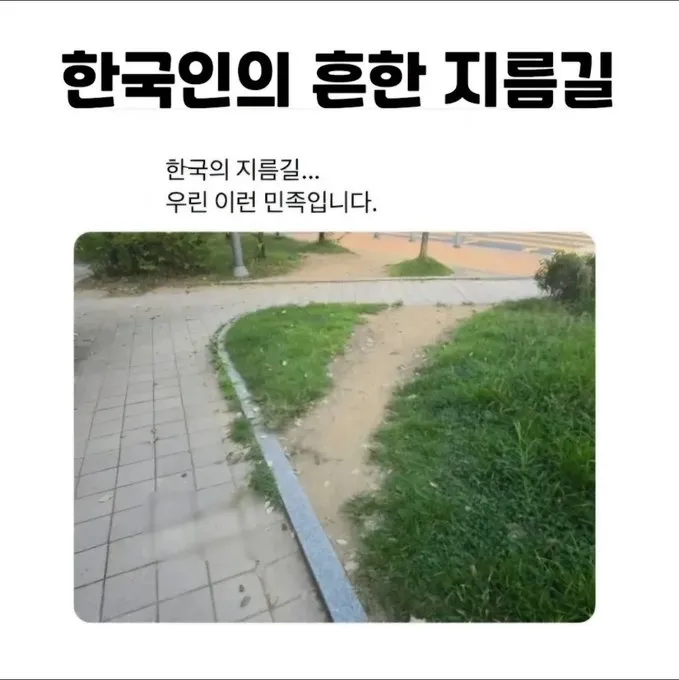 수도공사 했는 (15/19)