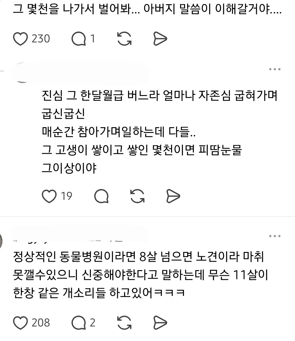아빠가 노견 치료비 몇백은 내겠지만 수술비 몇천은 못내겠대 (2/8)