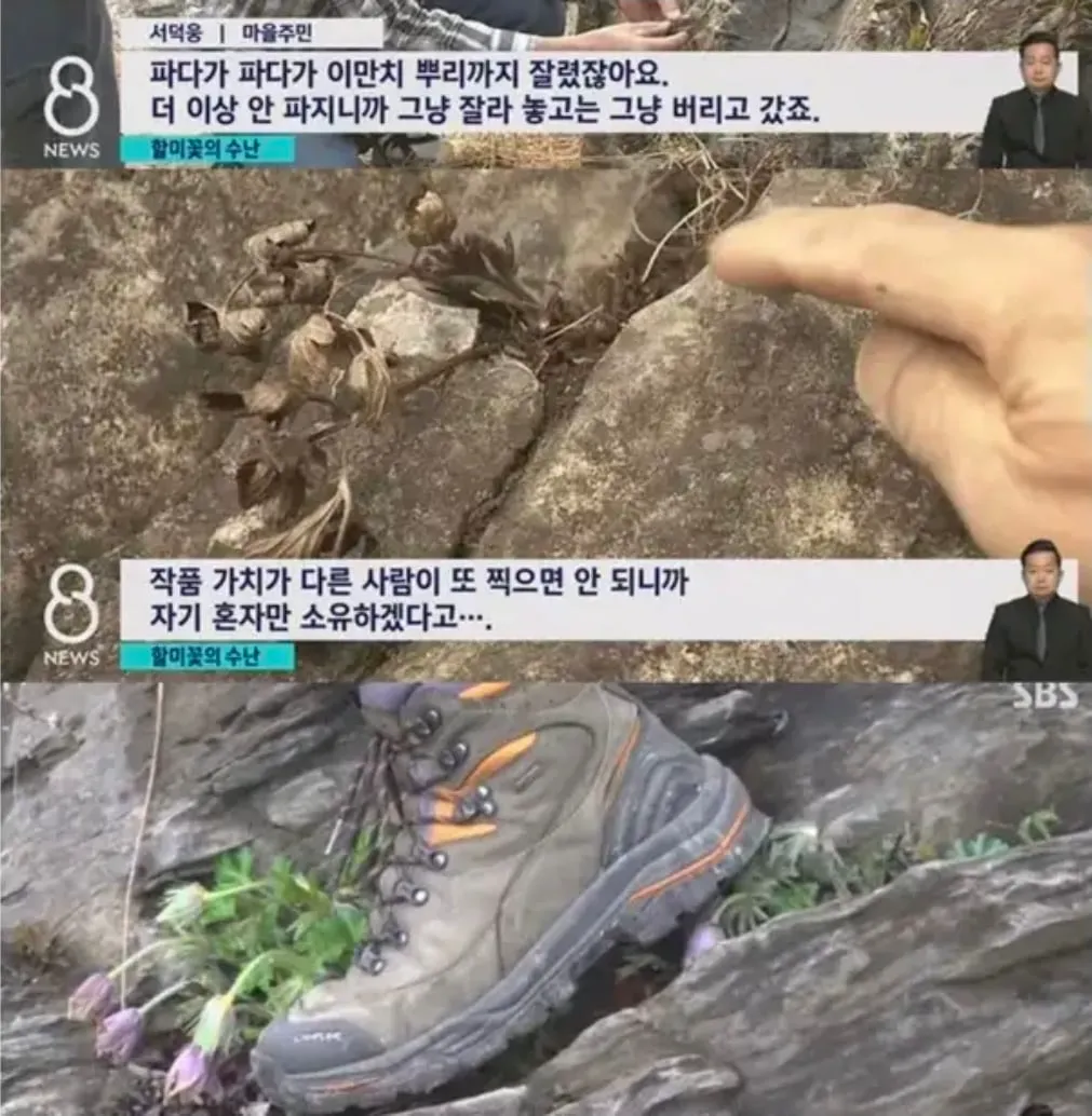 관광지에서 자주 보인다는 싸이코패스 (4/5)