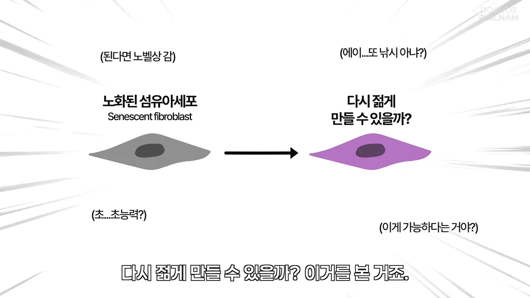 53세 피부를 23세 피부로 돌리는데 성공함 - 英연구팀 (4/14)