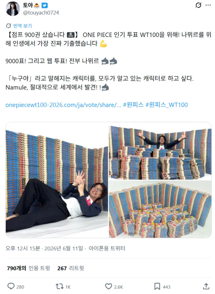 원피스 인기투표에 3천만원 태운 사람 (13/13)