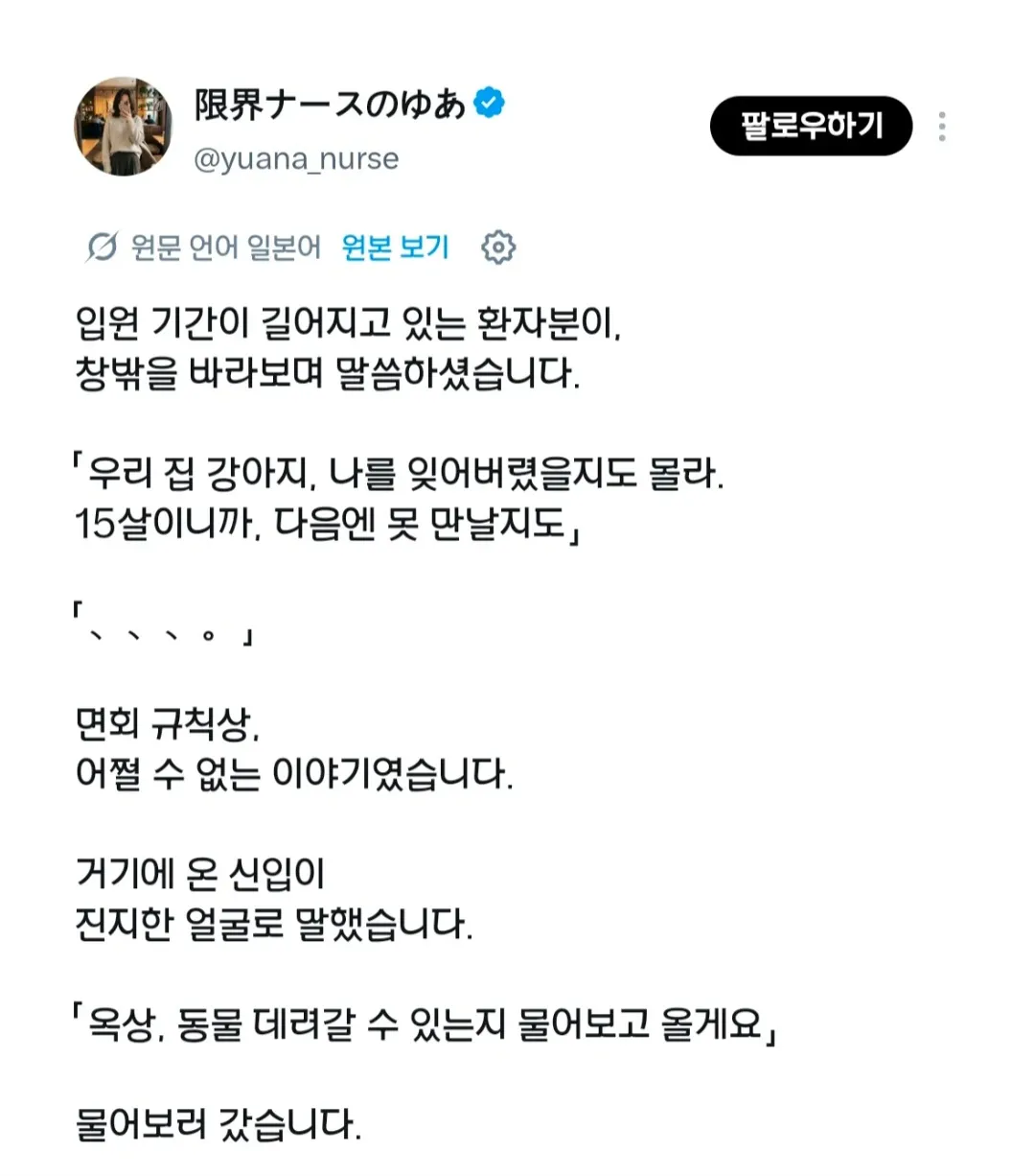 입원 기간이 길어지던 환자, '우리 강아지가 15살인데... (3/4)