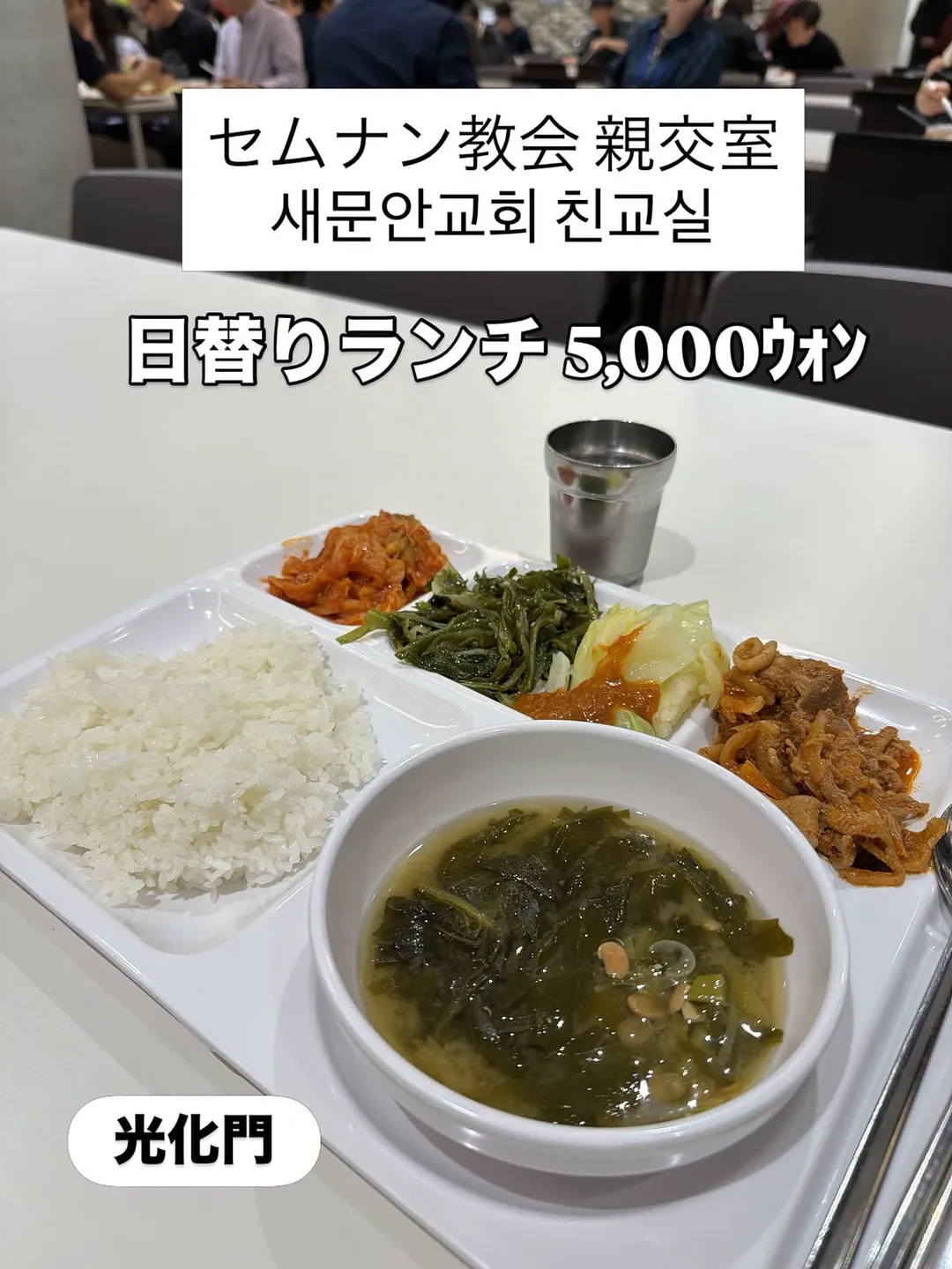 한국에서 특이한 여행을 하는 일본인.jpg (6/15)