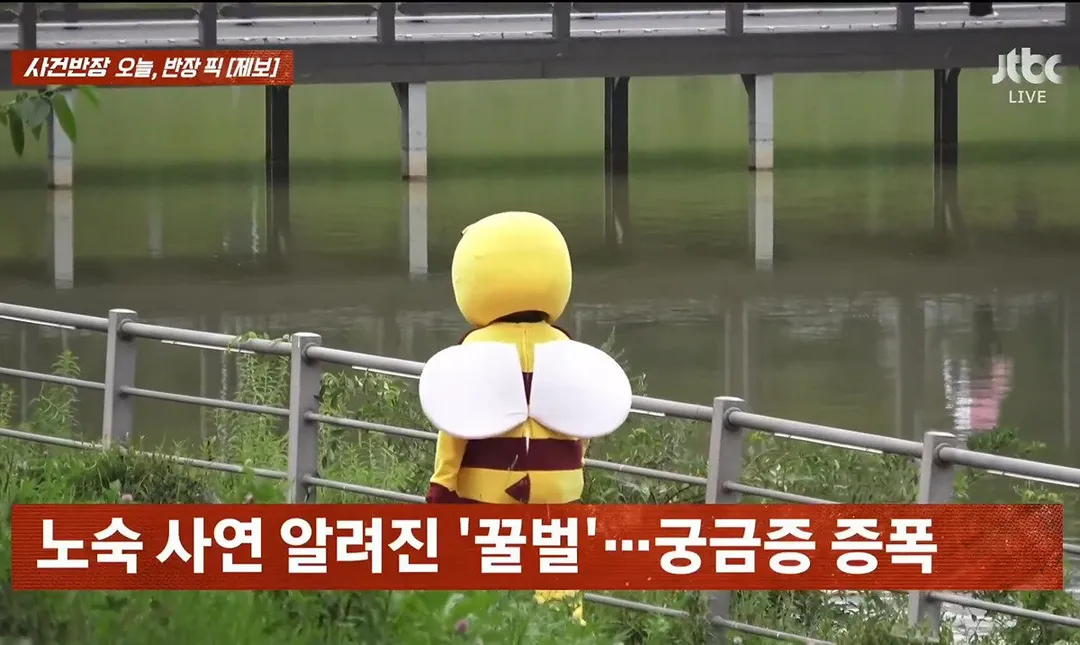 사건반장에 나온 꿀벌 복장 입는 이유 (영상 올렸어) (5/17)