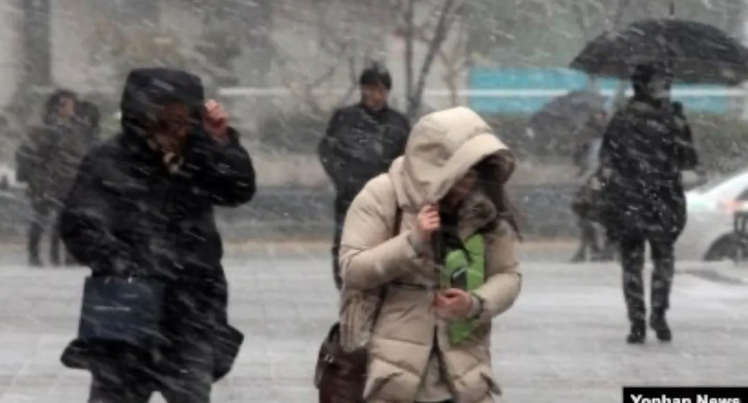약 4개월 후 한국 근황.jpg (2/2)