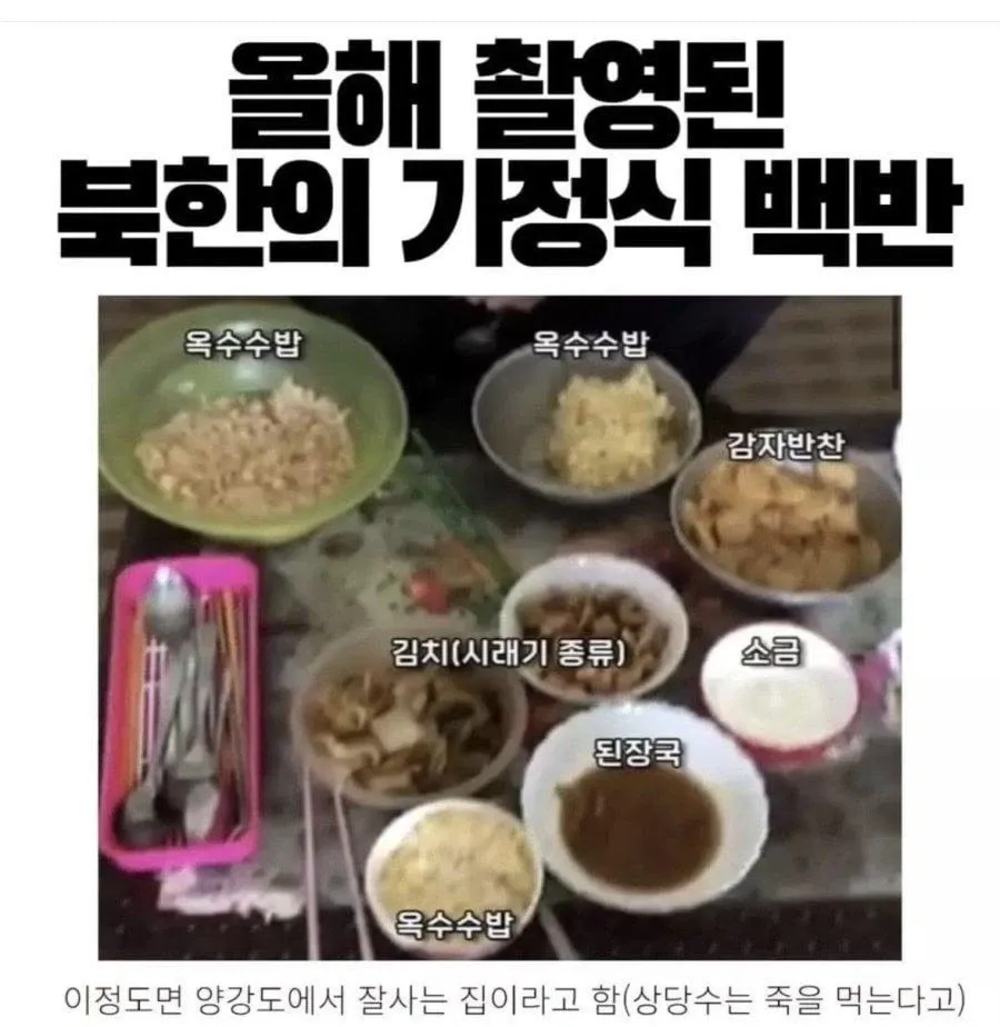북한 가정식 백반