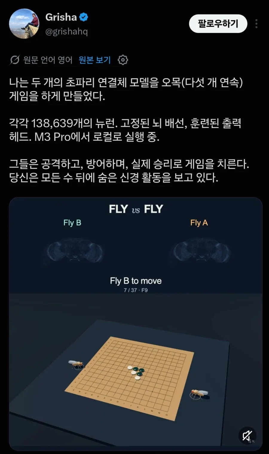 초파리 근황 (4/6)
