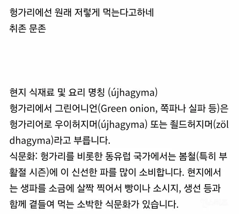 한국사람들은 보고도 못 믿는 헝가리 병원 환자식.jpg (8/9)