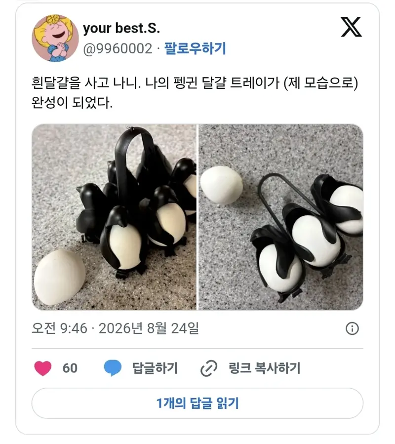 흰 달걀을 사야 완성되는 달걀 트레이.jpg (3/3)